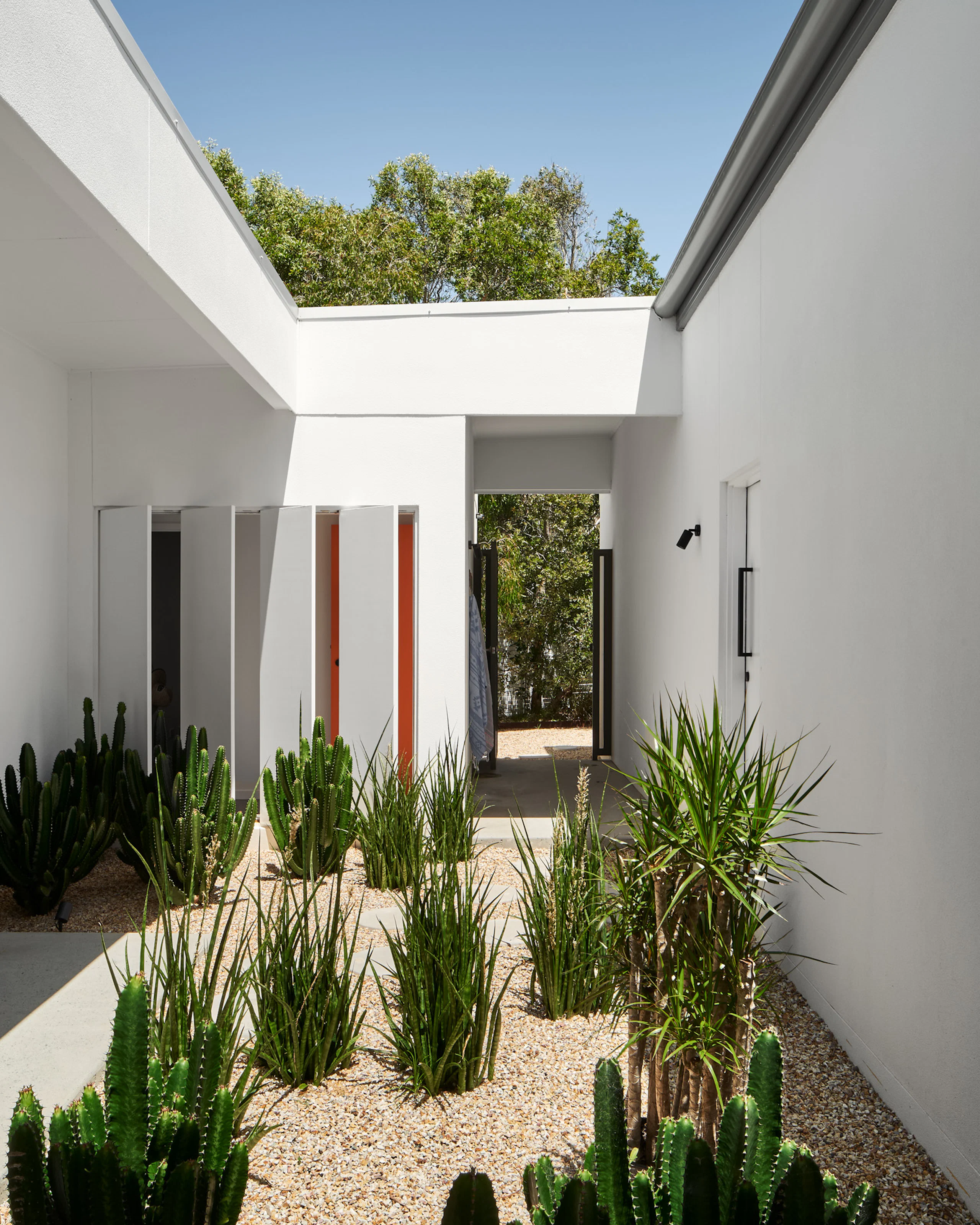 Pathways to starting your new haus project