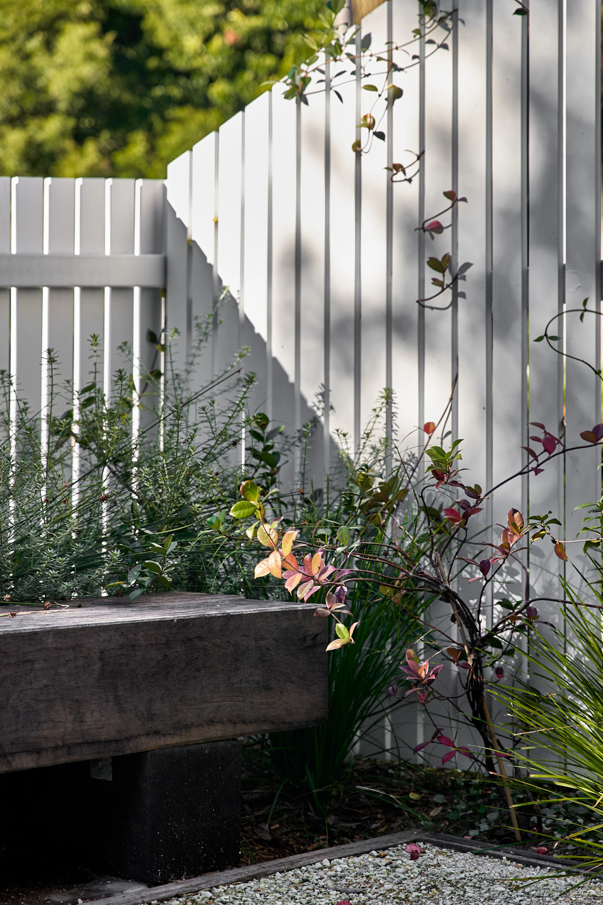 Byron Bay Haus 004 - Image 10