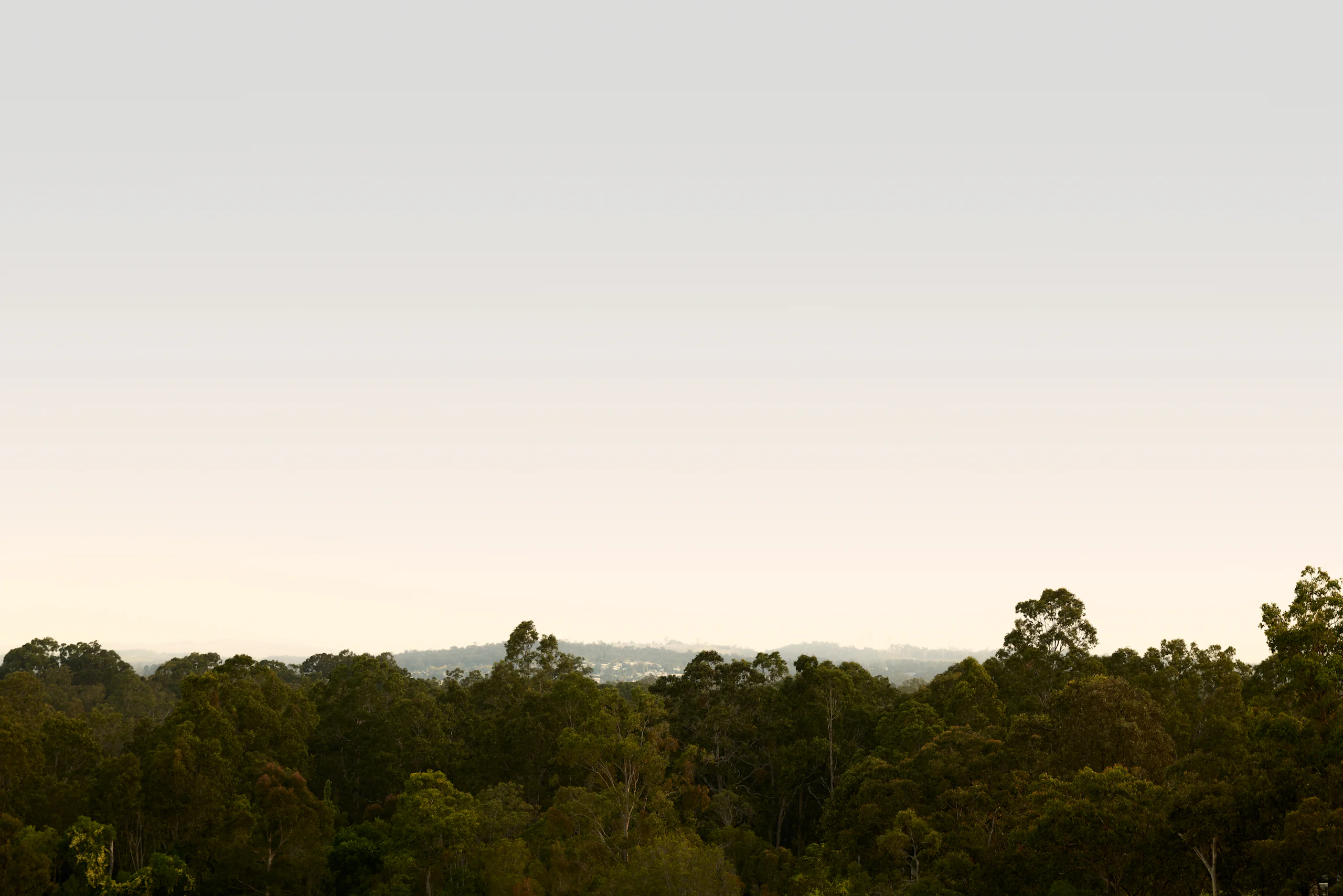 Moggill Haus 007 - Image 9