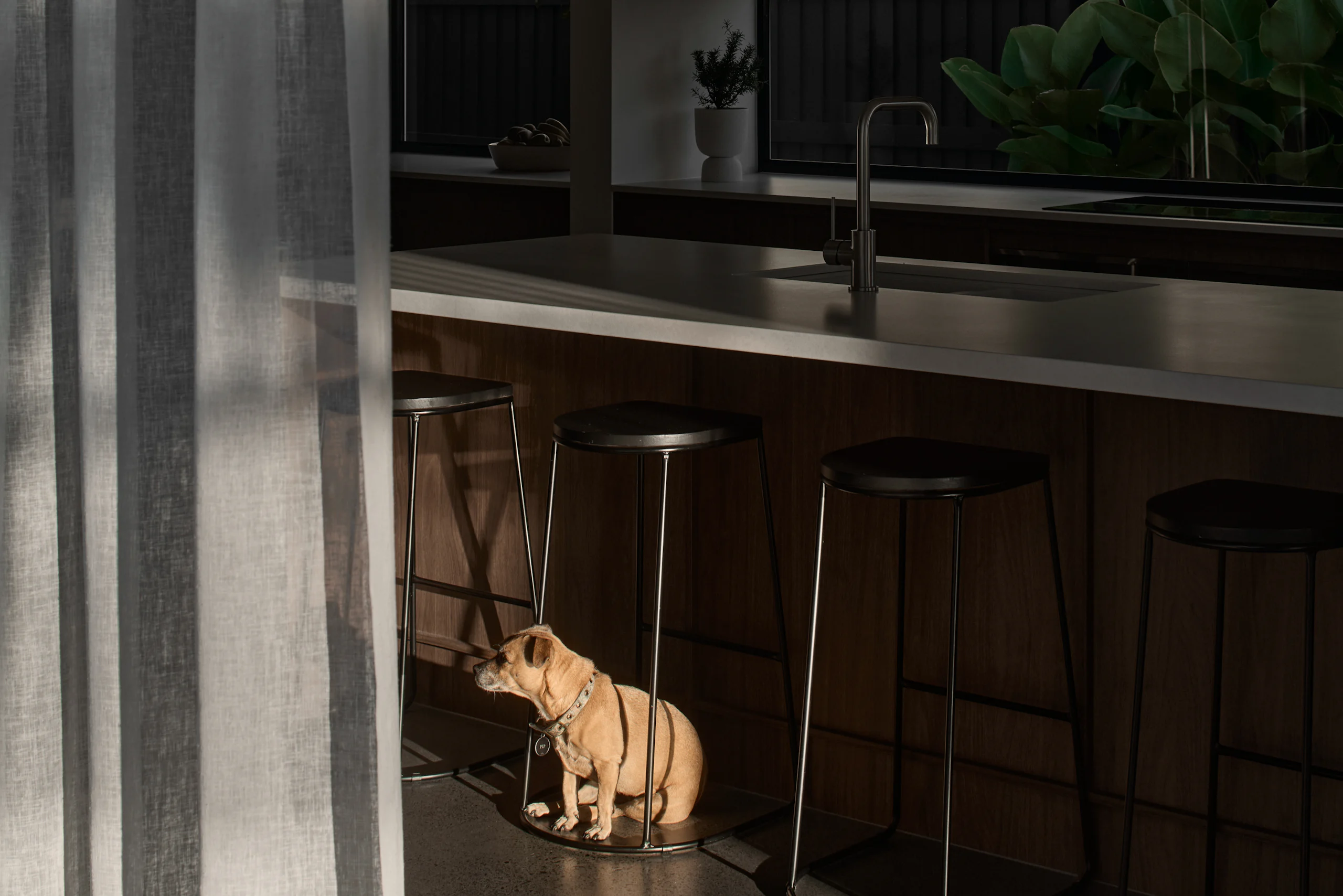 Wavell Heights 039 - Image 8