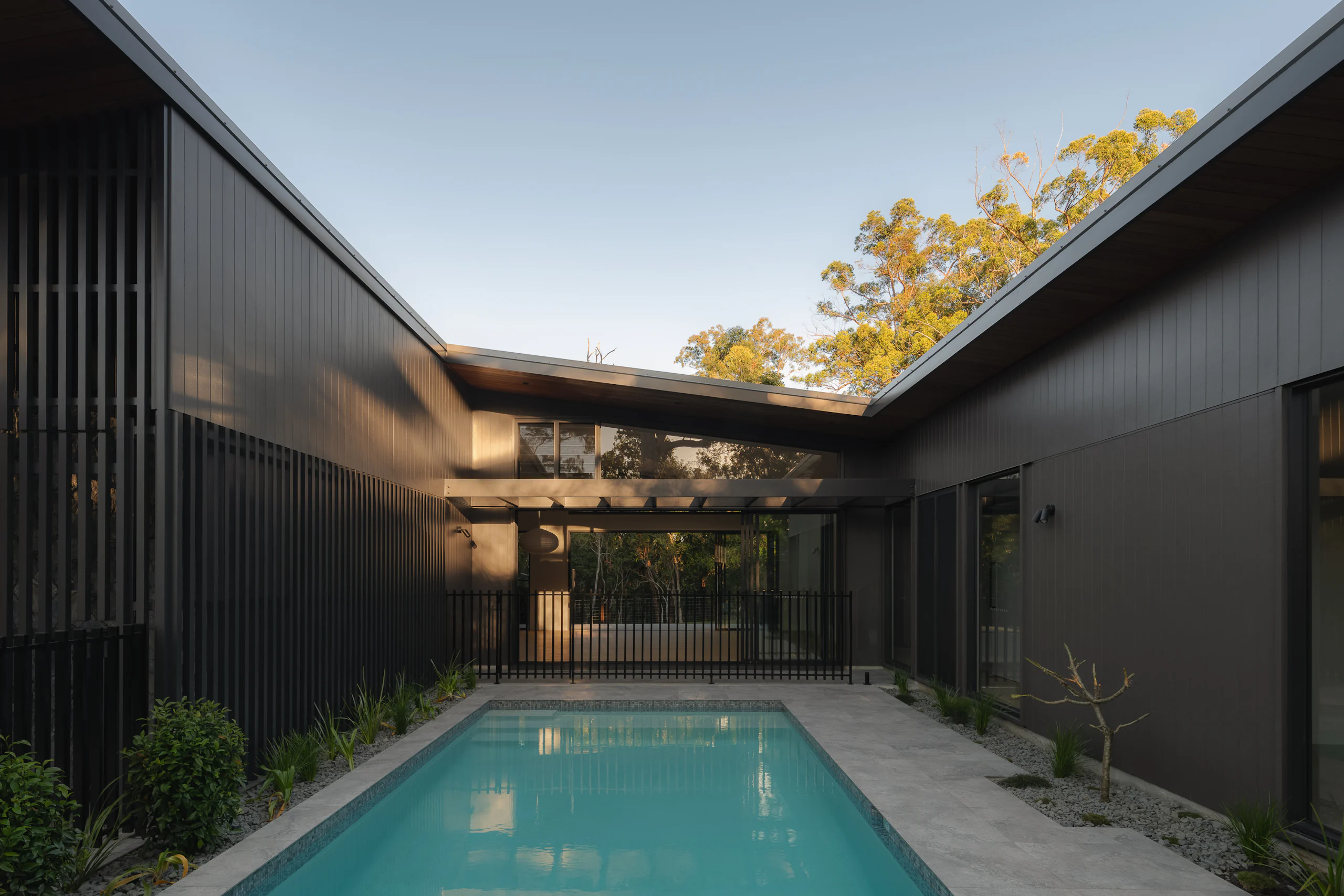 Fig Tree Pocket Haus 016 - Image 5
